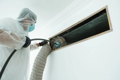 Image for Identify Service - AC Duct Cleaning -The Healthy Home