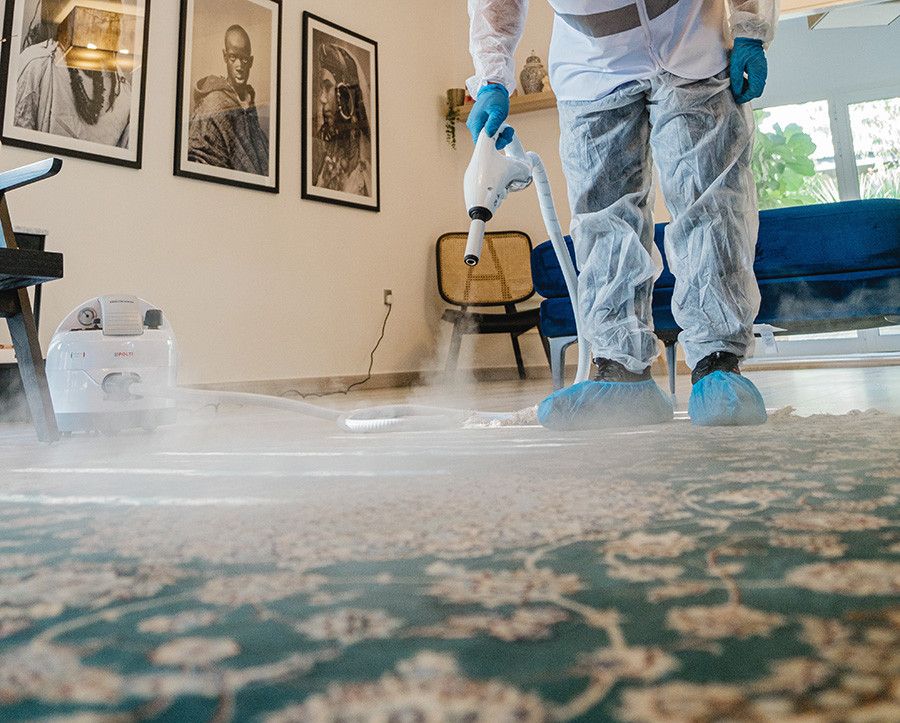 carpet cleaning services